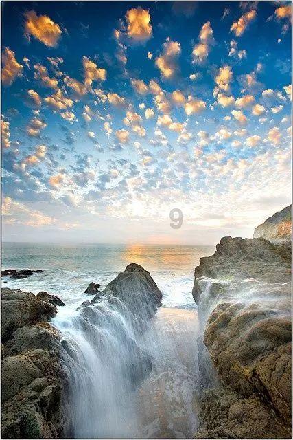 虫虫助手下载