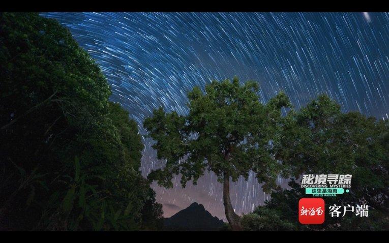 冒险的布瑞恩