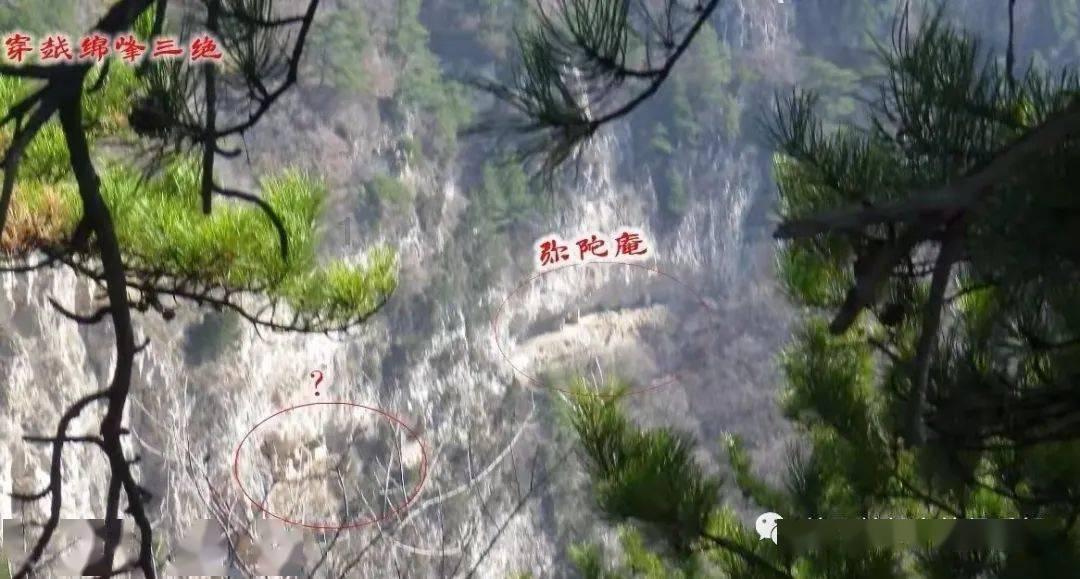 还有谁?周琦原地扣篮太霸气,一挑三根本拦不住,天津球员看呆了