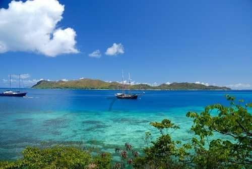 惜黄花慢·菊