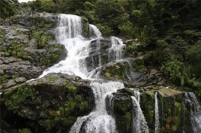 梦想的后院